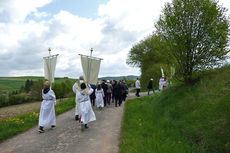 Bittprozession an der Weingartenkapelle (Foto: Karl-Franz Thiede)